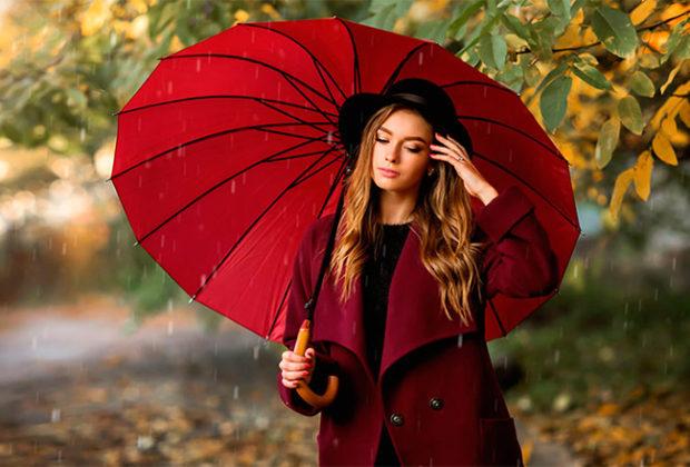 Meilleurs parapluies de cannes