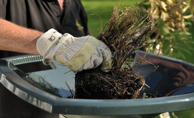 Meilleurs broyeurs de branches