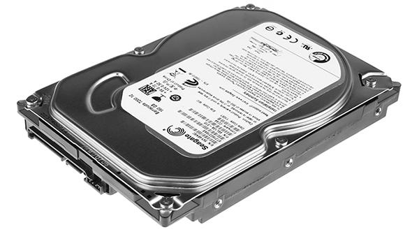 Seagate ST3160318AS