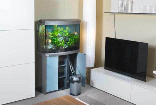 Meilleurs filtres pour un aquarium