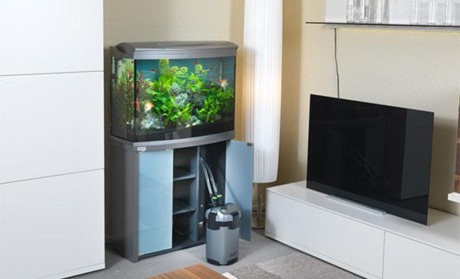 Meilleurs filtres pour un aquarium