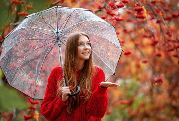 Les meilleurs parapluies