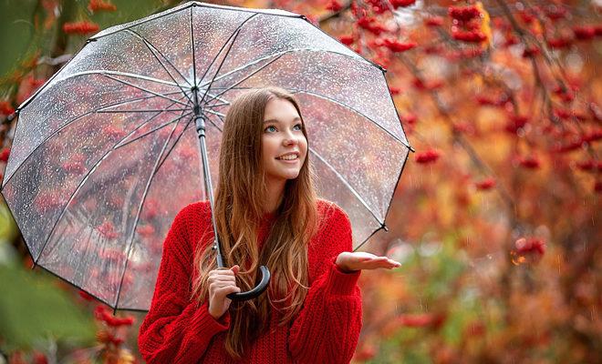 Les meilleurs parapluies