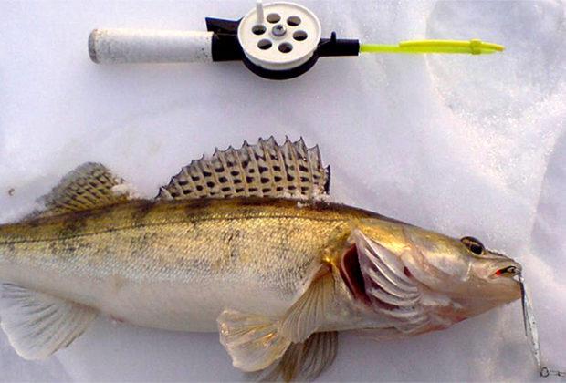 A legjobb spinnerek a walleye-hez