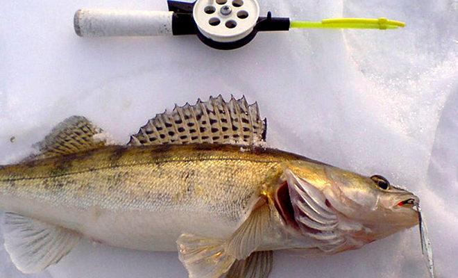 A legjobb spinnerek a walleye-hez