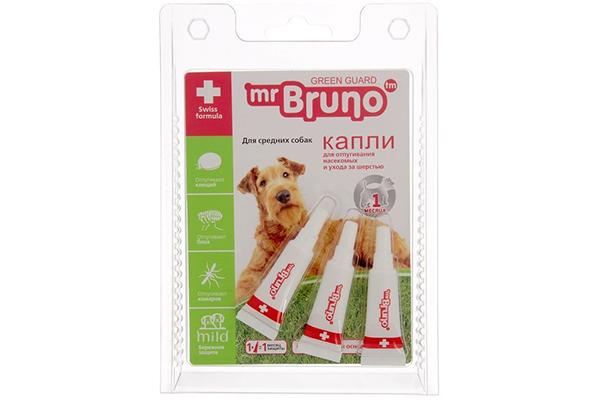 Mr. Bruno Green Guard