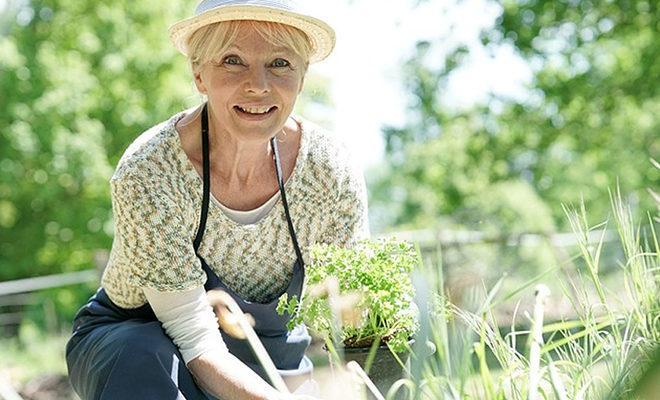 Les meilleures vitamines pour la ménopause