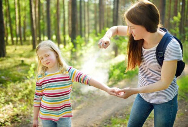 A legjobb gyógymódok a szúnyogcsípések ellen